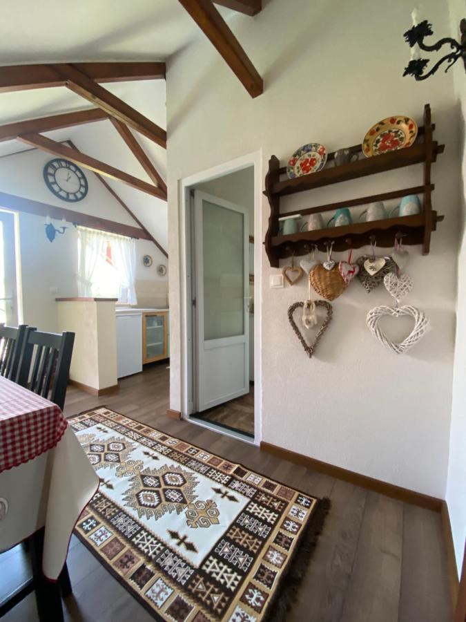 Casa Moldovan Aknasugatag Kültér fotó